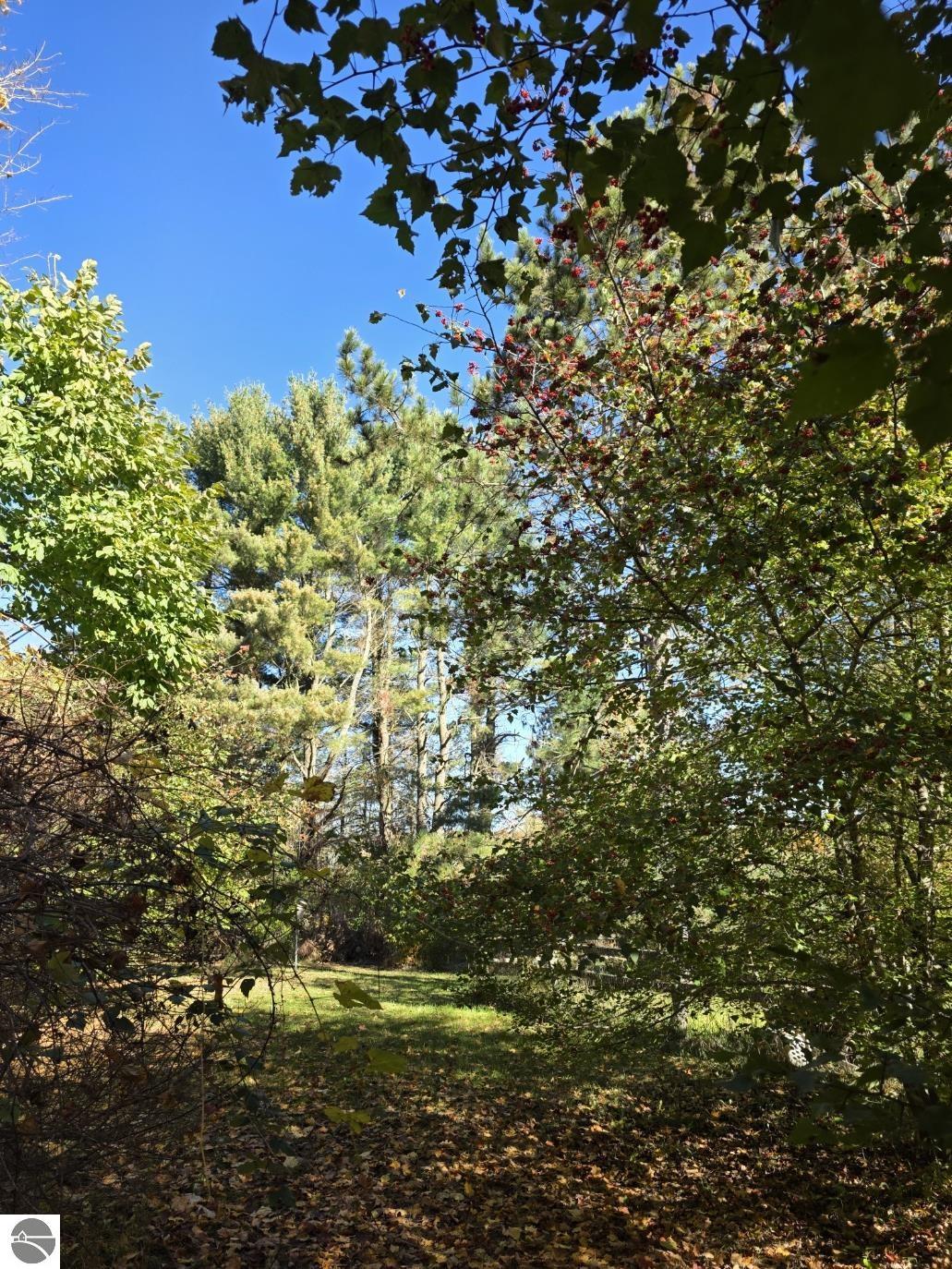 6132 Bunker Hill Road, Central Lake, MI 49622 — Photo 25