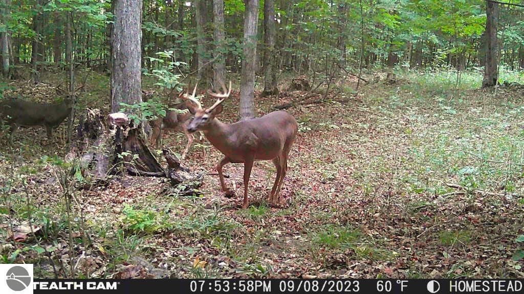 Click to enlarge photo