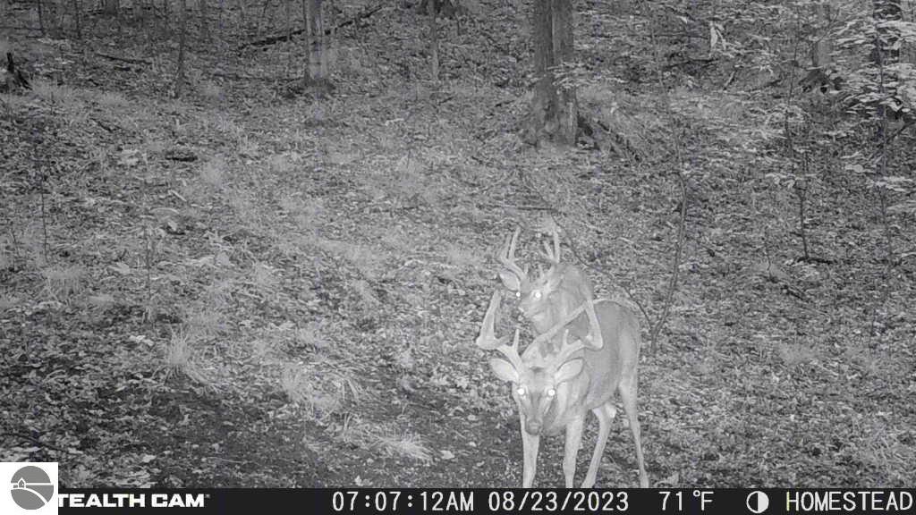 Click to enlarge photo