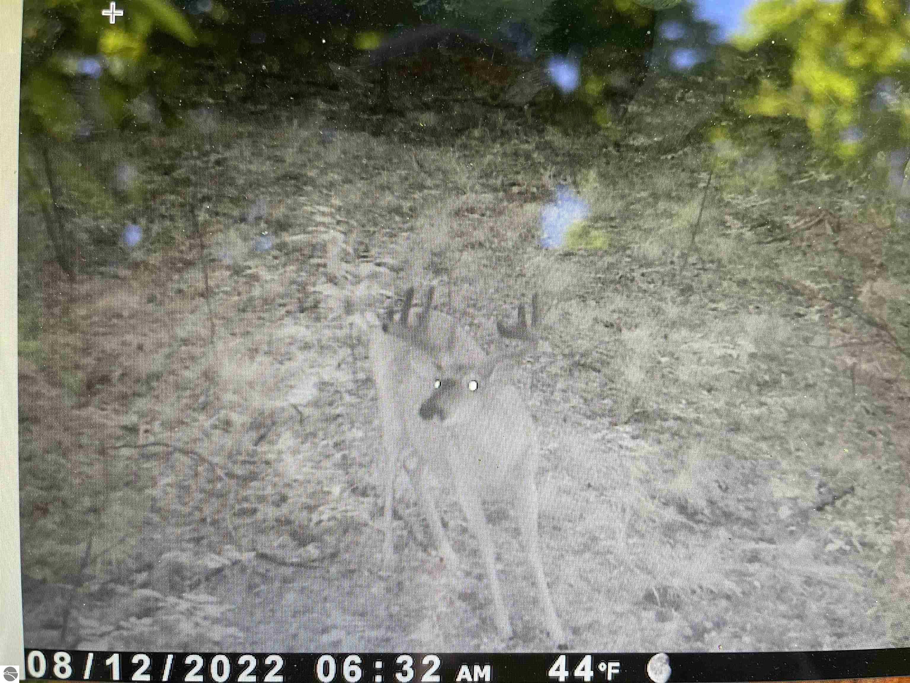 Click to enlarge photo