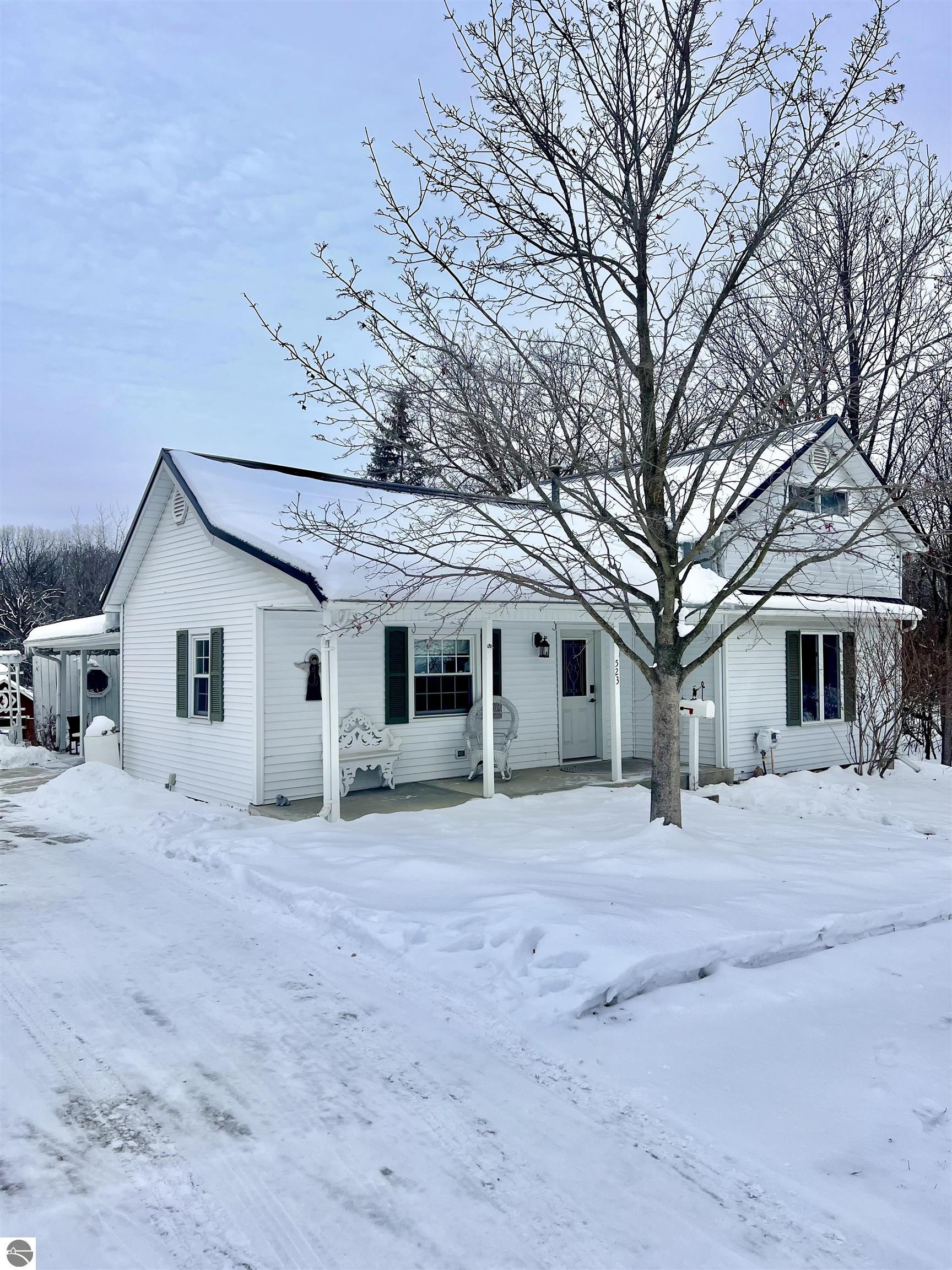 523 N Elm, Ithaca, MI 48847 — front exterior