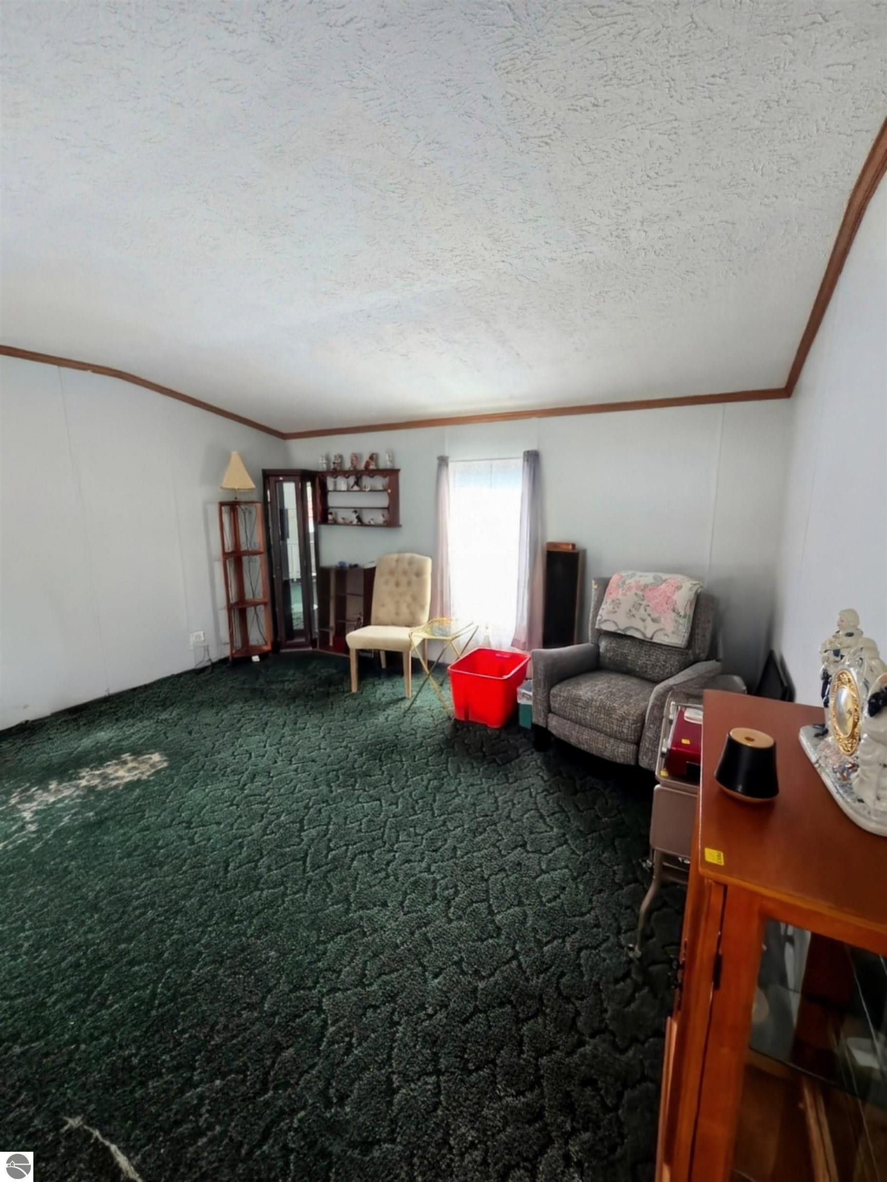 10210 W Monroe, Elwell, MI 48832 — Photo 4