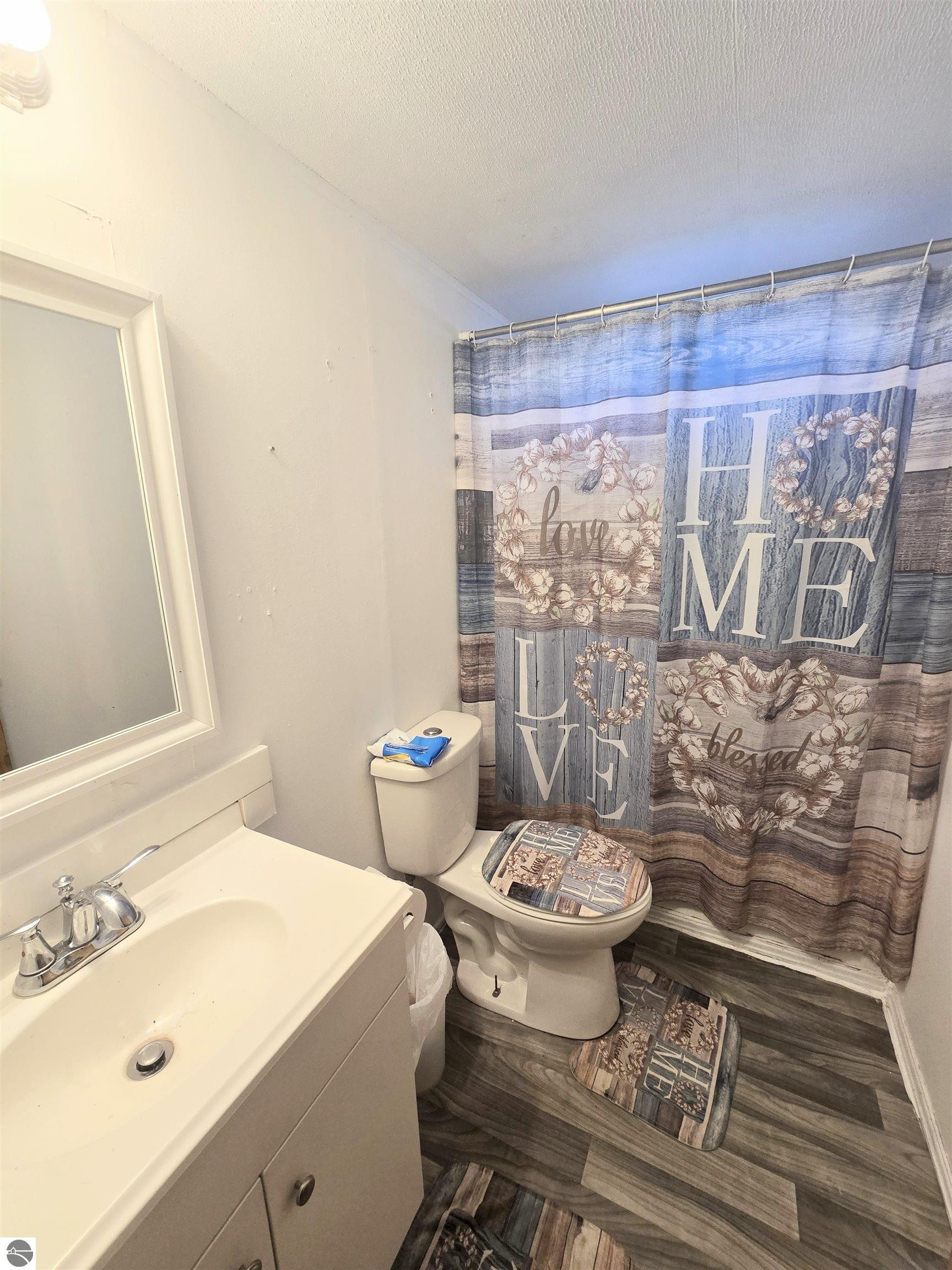 3990 N Ferris Road, Riverdale, MI 48877 — Photo 11