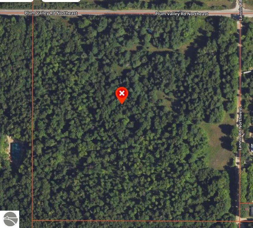 1091 Plum Valley Road NW, Alden, MI 49612 — Photo 2