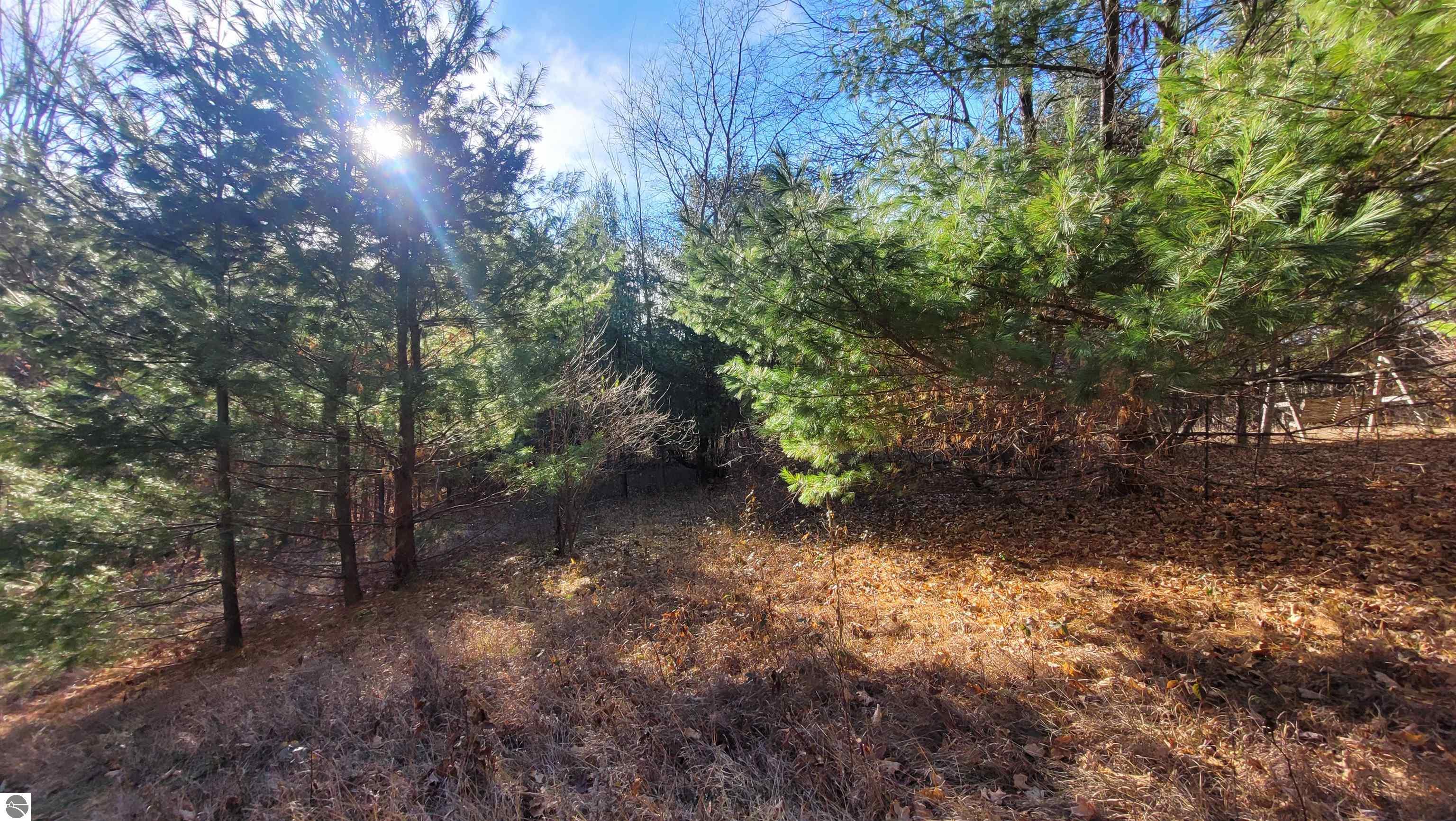 1091 Plum Valley Road NW, Alden, MI 49612 — Photo 11