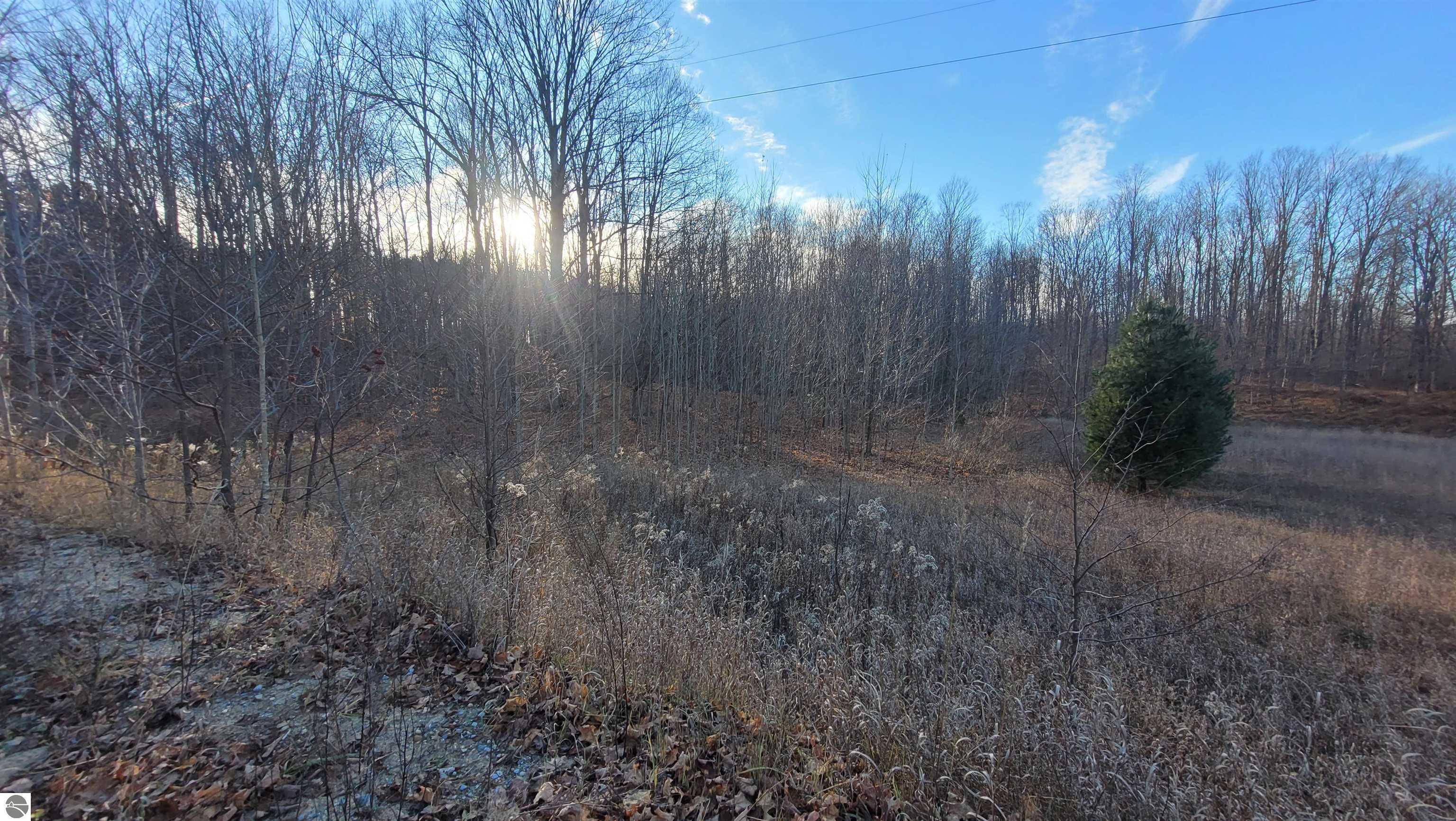 1091 Plum Valley Road NW, Alden, MI 49612 — Photo 15