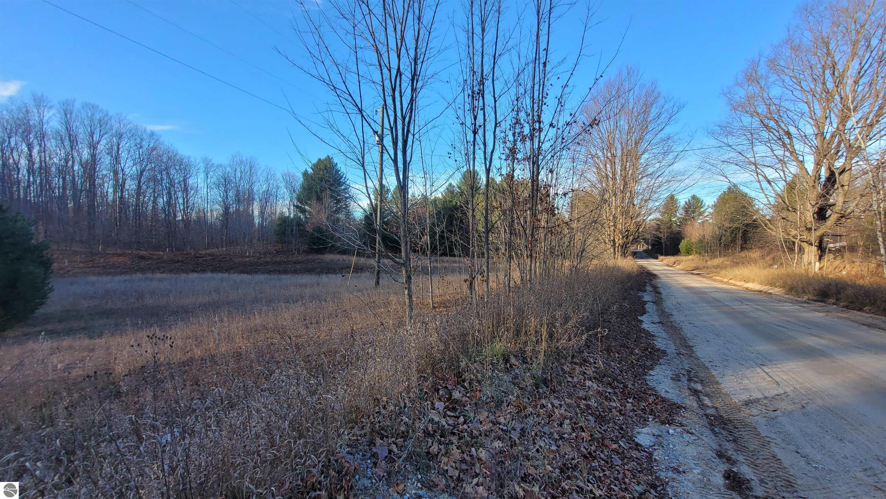 1091 Plum Valley Road NW, Alden, MI 49612 — Photo 16
