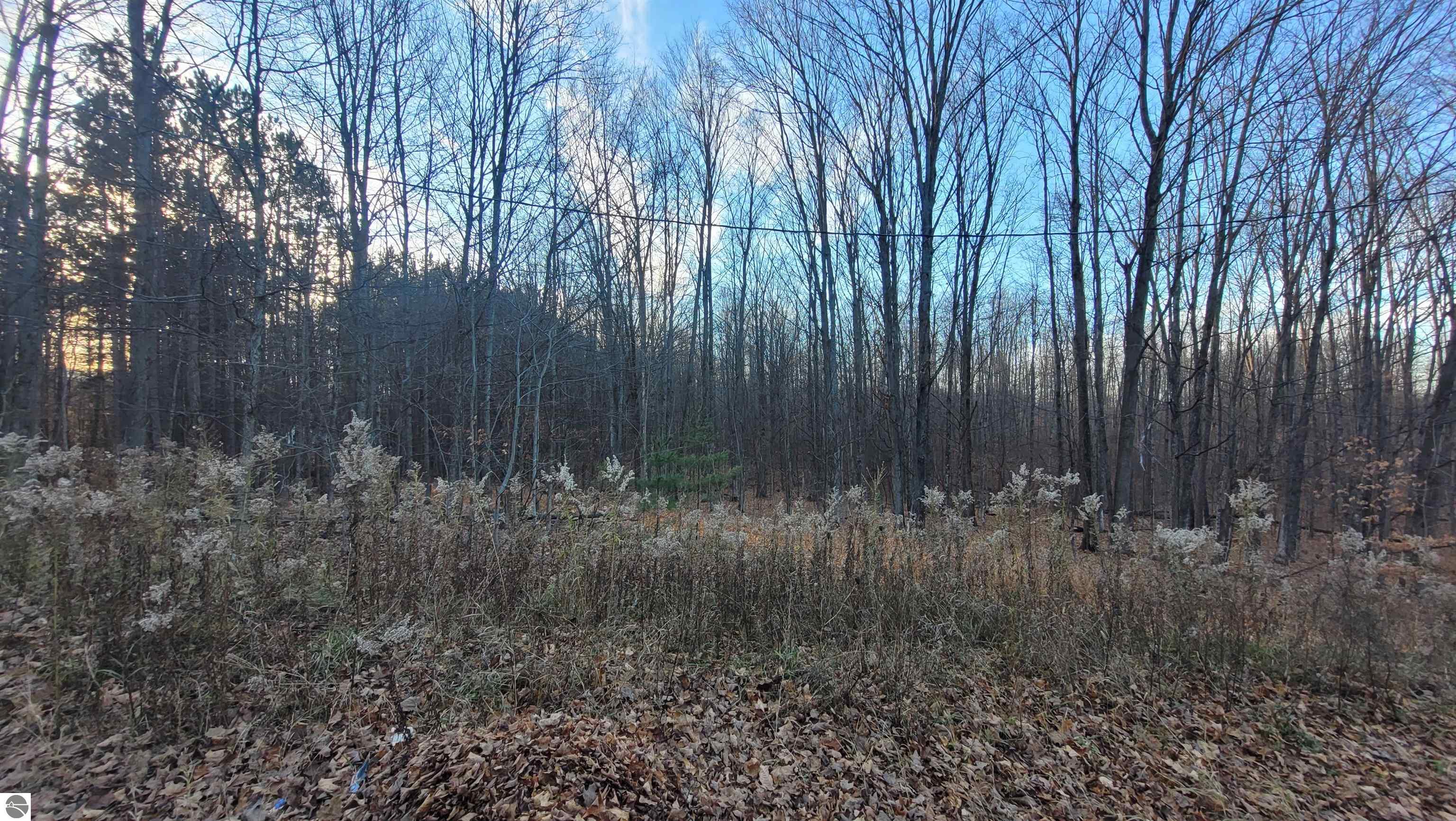 1091 Plum Valley Road NW, Alden, MI 49612 — Photo 17