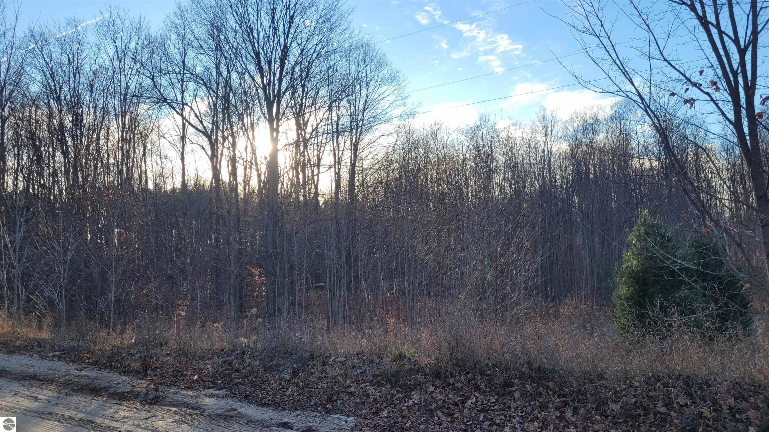 1091 Plum Valley Road NW, Alden, MI 49612 — Photo 4