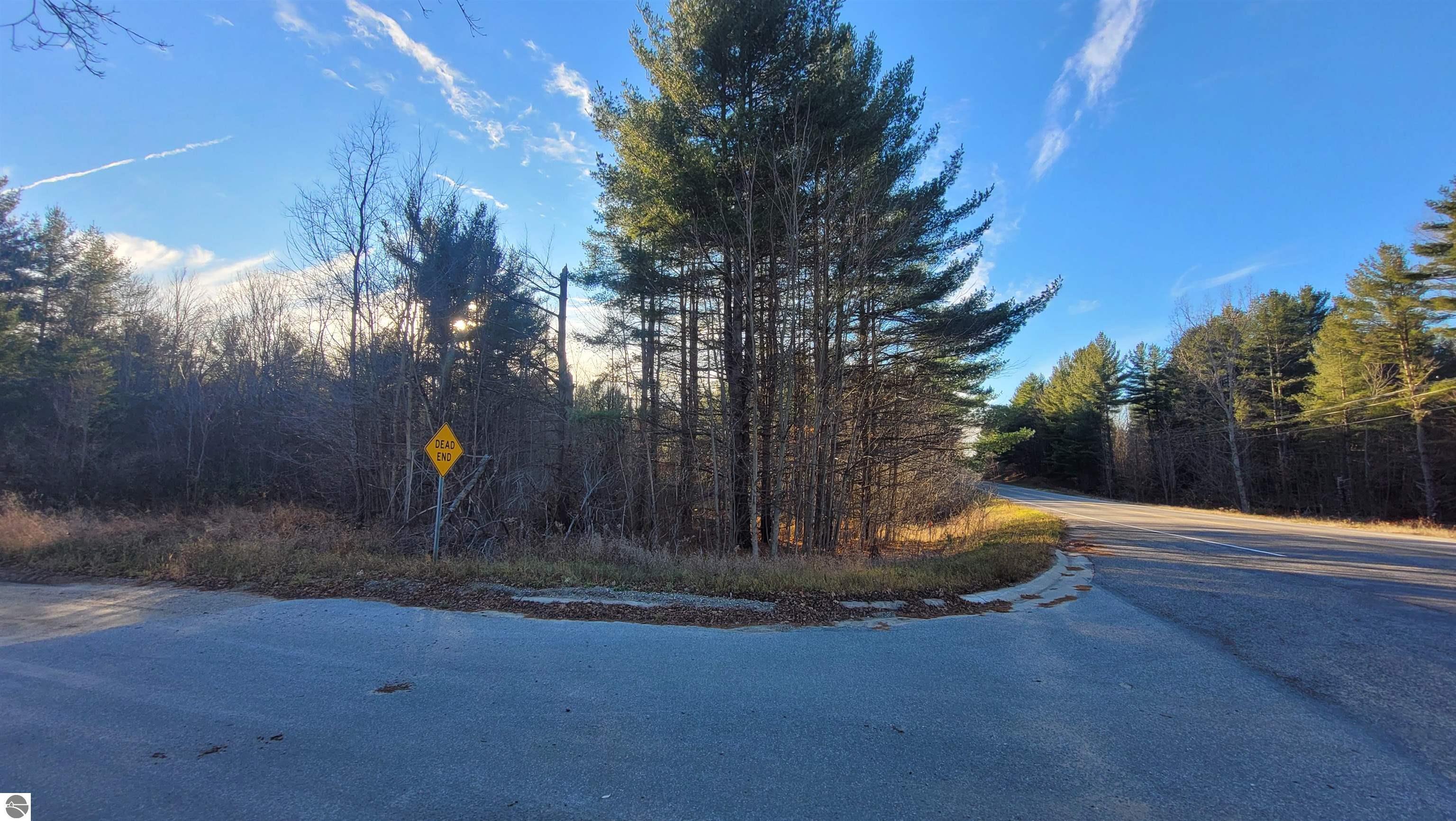 1091 Plum Valley Road NW, Alden, MI 49612 — Photo 10