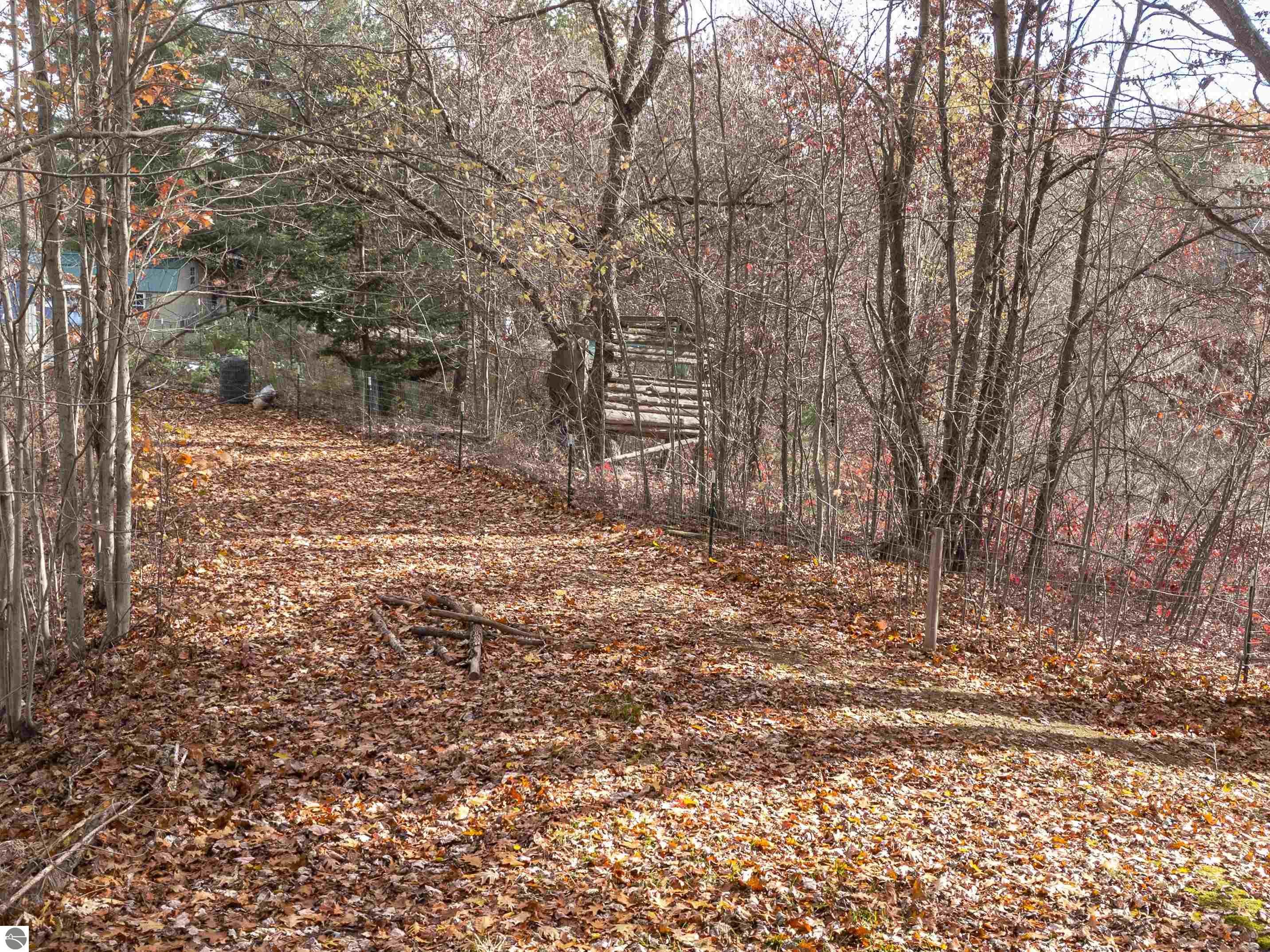 9131 W Jennings Road, Lake City, MI 49651 — Photo 62