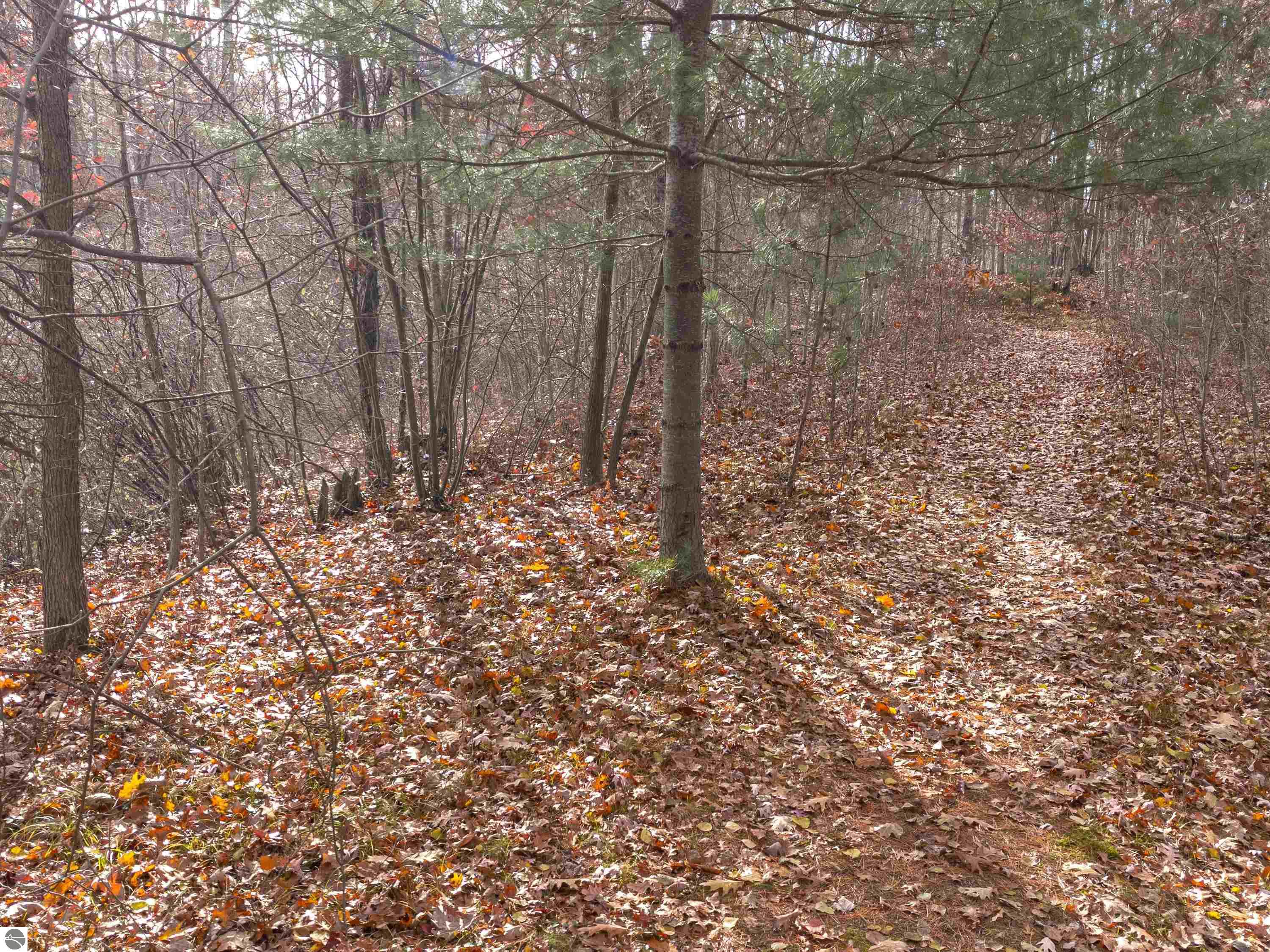 9131 W Jennings Road, Lake City, MI 49651 — Photo 64