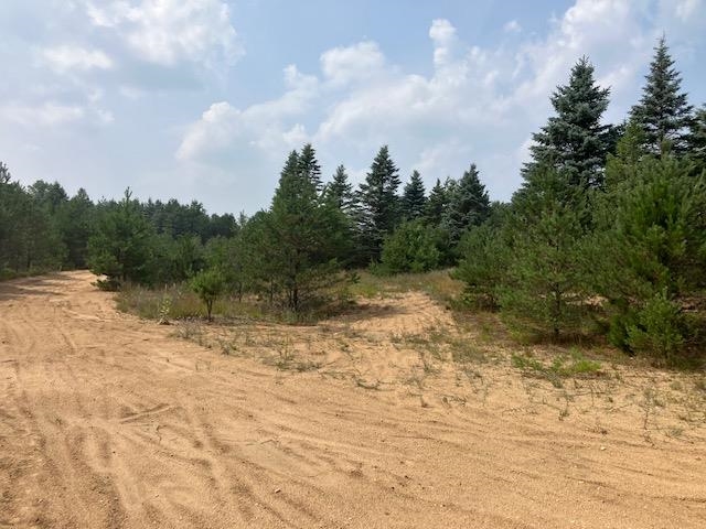 Homes for sale in Hanover Township Wexford, MI | Parcel F N 2 1/2 Rd, Hanover Township Wexford, MI 49620 | MLS# 78080013196