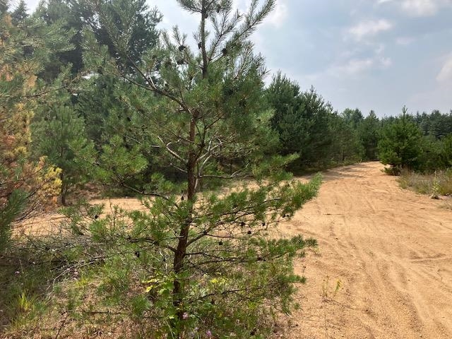 Homes for sale in Hanover Township Wexford, MI | Parcel F N 2 1/2 Rd, Hanover Township Wexford, MI 49620 | MLS# 78080013196