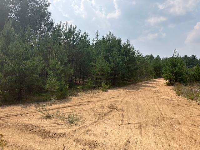 Homes for sale in Hanover Township Wexford, MI | Parcel F N 2 1/2 Rd, Hanover Township Wexford, MI 49620 | MLS# 78080013196