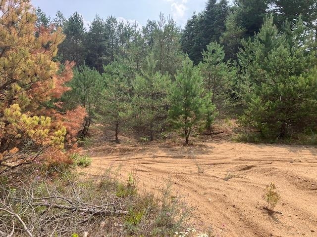 Homes for sale in Hanover Township Wexford, MI | Parcel F N 2 1/2 Rd, Hanover Township Wexford, MI 49620 | MLS# 78080013196