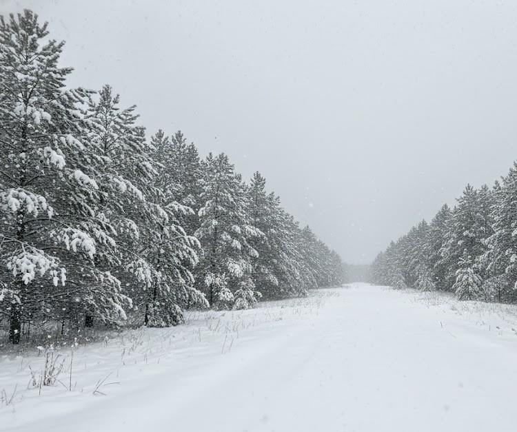 Homes for sale in Hanover Township Wexford, MI | Parcel F 2 N 2 1/2 Rd, Hanover Township Wexford, MI 49620 | MLS# 78080013202