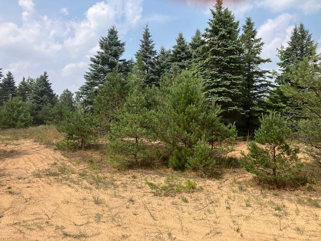 Homes for sale in Hanover Township Wexford, MI | Parcel F 2 N 2 1/2 Rd, Hanover Township Wexford, MI 49620 | MLS# 78080013202