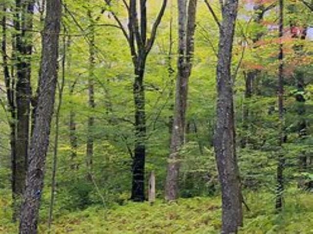 Homes for sale in Hanover Township Wexford, MI | 1001 N 2 1/2 Rd, Hanover Township Wexford, MI 49620 | MLS# 78080050350