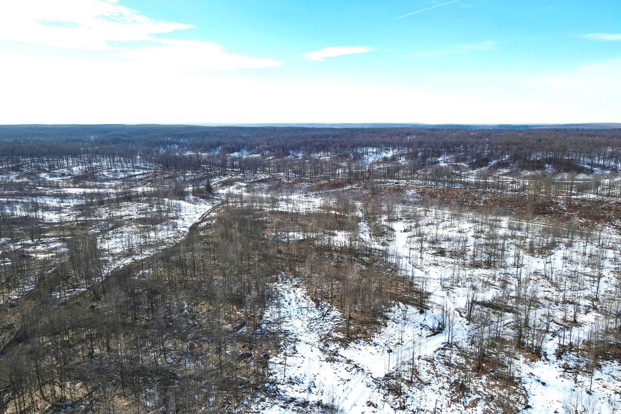 Homes for sale in Frederic Township Crawford, MI | 00 Mount Frederic Rd, Frederic Township Crawford, MI 49733 | MLS# 78080053423