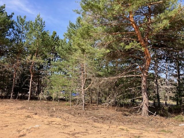 Homes for sale in Hanover Township Wexford, MI | Parcel F 3 N 2 1/2 Rd, Hanover Township Wexford, MI 49620 | MLS# 78080056294