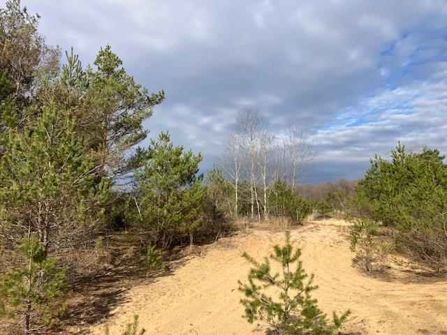 Homes for sale in Hanover Township Wexford, MI | Parcel F 3 N 2 1/2 Rd, Hanover Township Wexford, MI 49620 | MLS# 78080056294