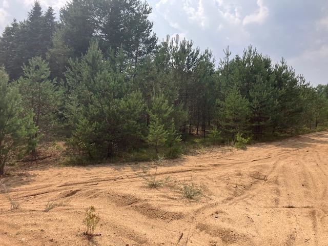 Homes for sale in Hanover Township Wexford, MI | Parcel F-3 N 2 1/2 Rd, Hanover Township Wexford, MI 49620 | MLS# 78080056294