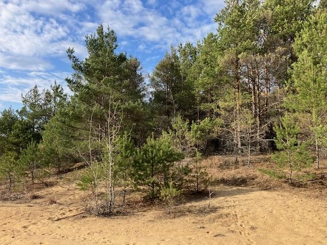 Homes for sale in Hanover Township Wexford, MI | Parcel F-3 N 2 1/2 Rd, Hanover Township Wexford, MI 49620 | MLS# 78080056294