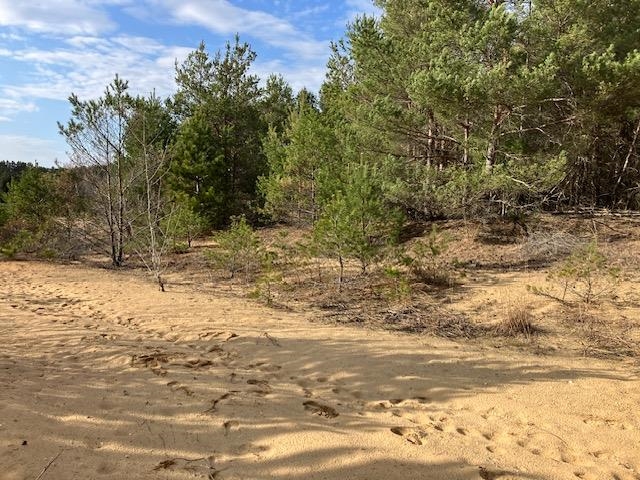 Homes for sale in Hanover Township Wexford, MI | Parcel F-3 N 2 1/2 Rd, Hanover Township Wexford, MI 49620 | MLS# 78080056294