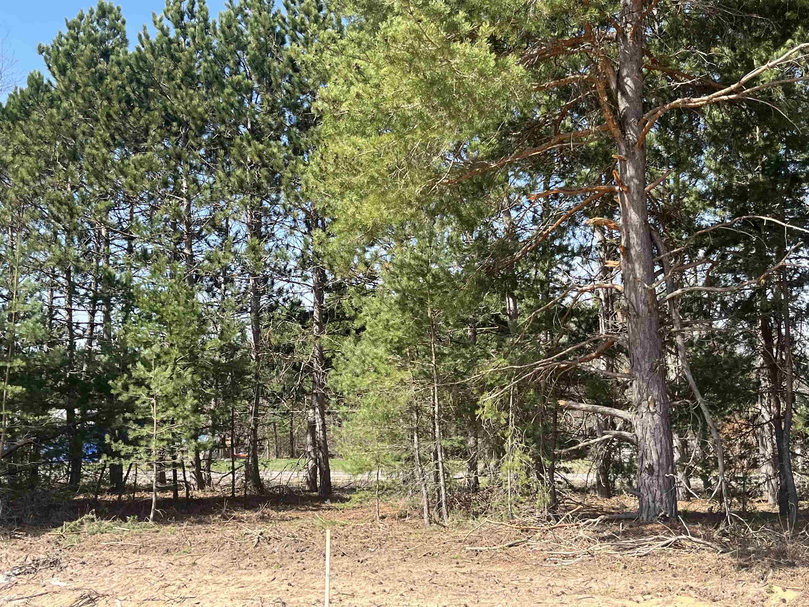 Homes for sale in Hanover Township Wexford, MI | Parcel F 3 N 2 1/2 Rd, Hanover Township Wexford, MI 49620 | MLS# 78080056294