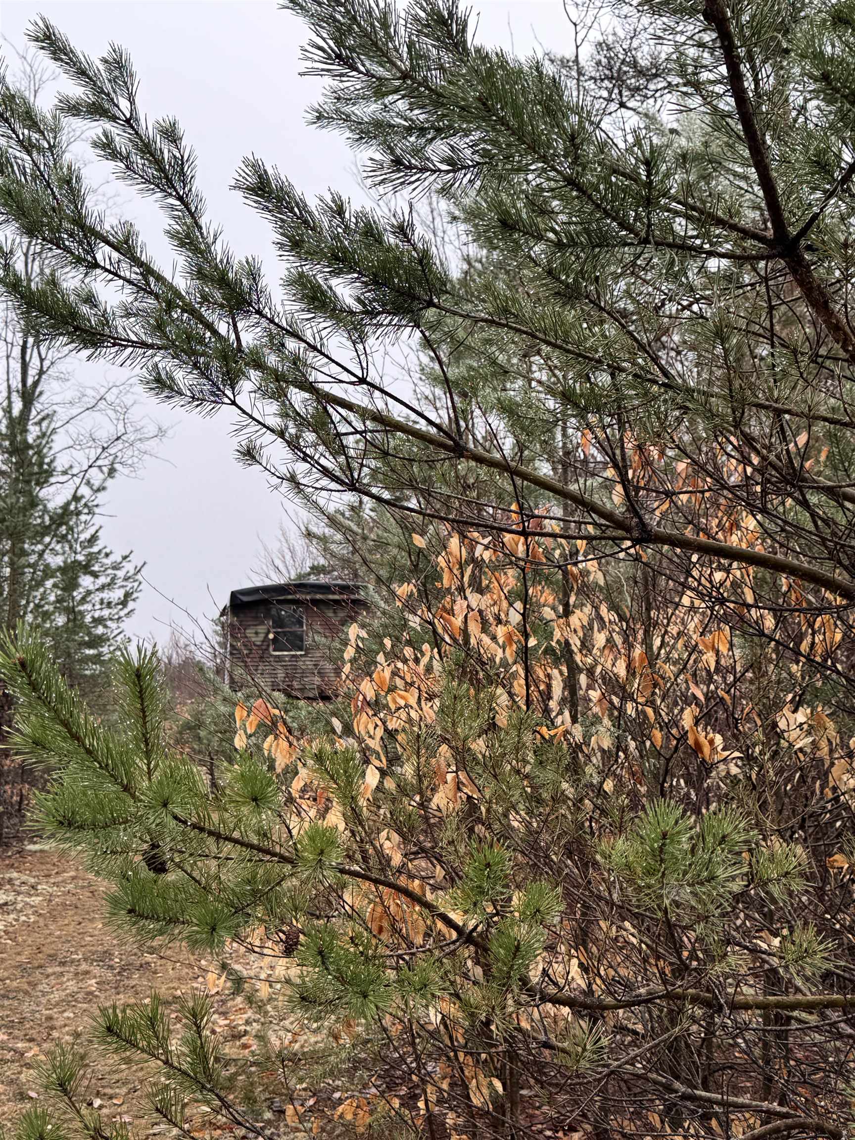 Homes for sale in Kalkaska, MI | County Line Rd, Kalkaska, MI 49659 | MLS# 78080056524