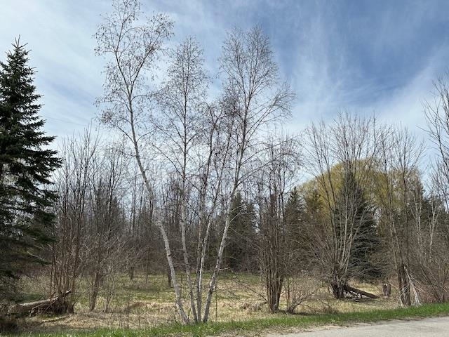 Homes for sale in Milton Township Antrim, MI | 00 Quarterline Rd, Milton Township Antrim, MI 49648 | MLS# 78080056724