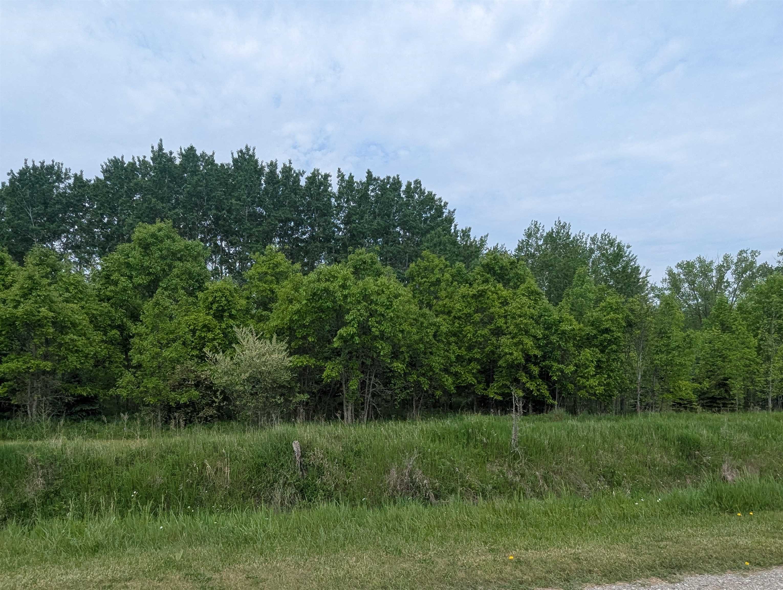 Homes for sale in Whitney Township Arenac, MI | N/a Twining Rd, Whitney Township Arenac, MI 48703 | MLS# 77080058170