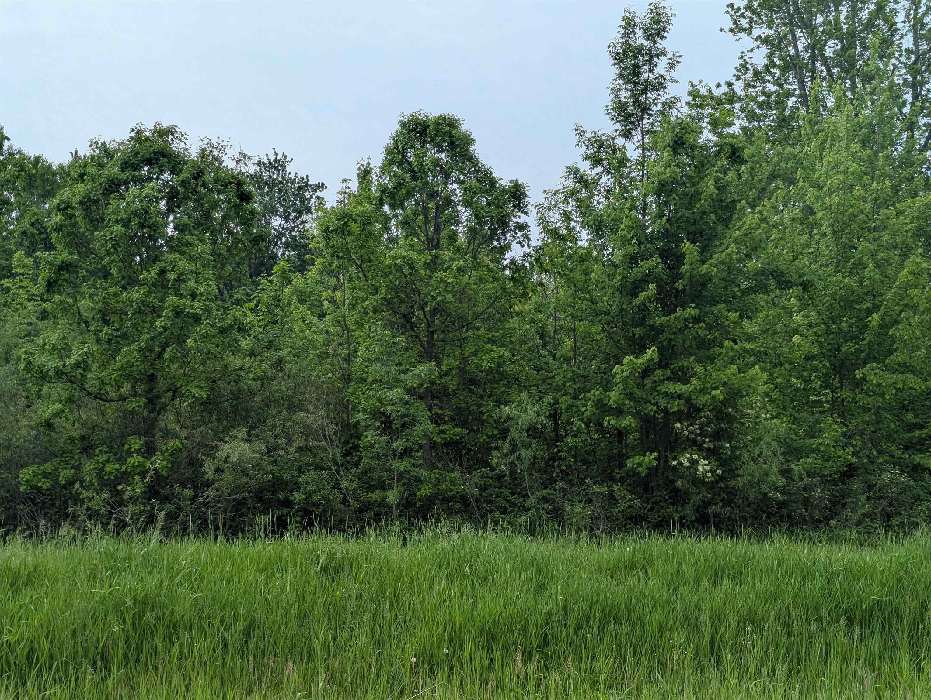 Homes for sale in Whitney Township Arenac, MI | N/a Twining Rd, Whitney Township Arenac, MI 48703 | MLS# 77080058170