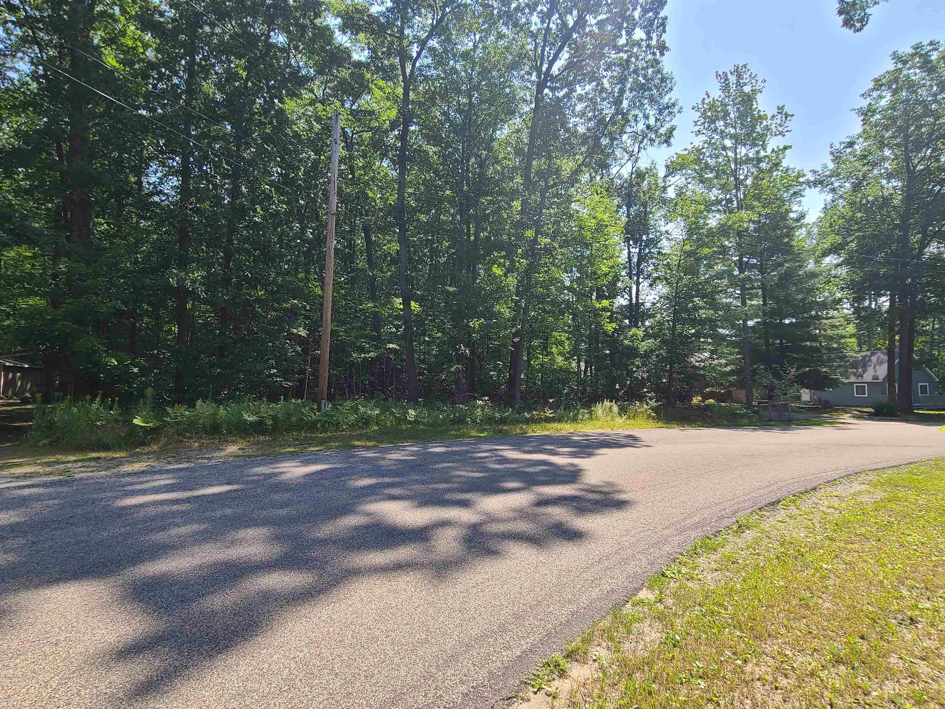 Homes for sale in Roscommon, MI | 124 Brandywine Dr, Roscommon, MI 48653 | MLS# 77080060845