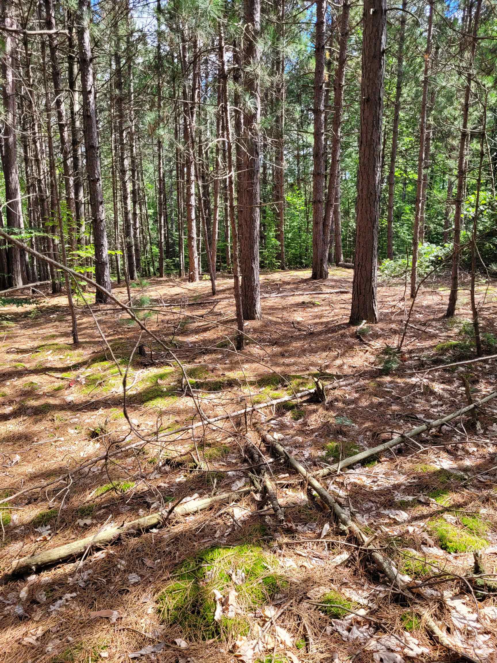 Mann Road, Port Sanilac, MI, 48469