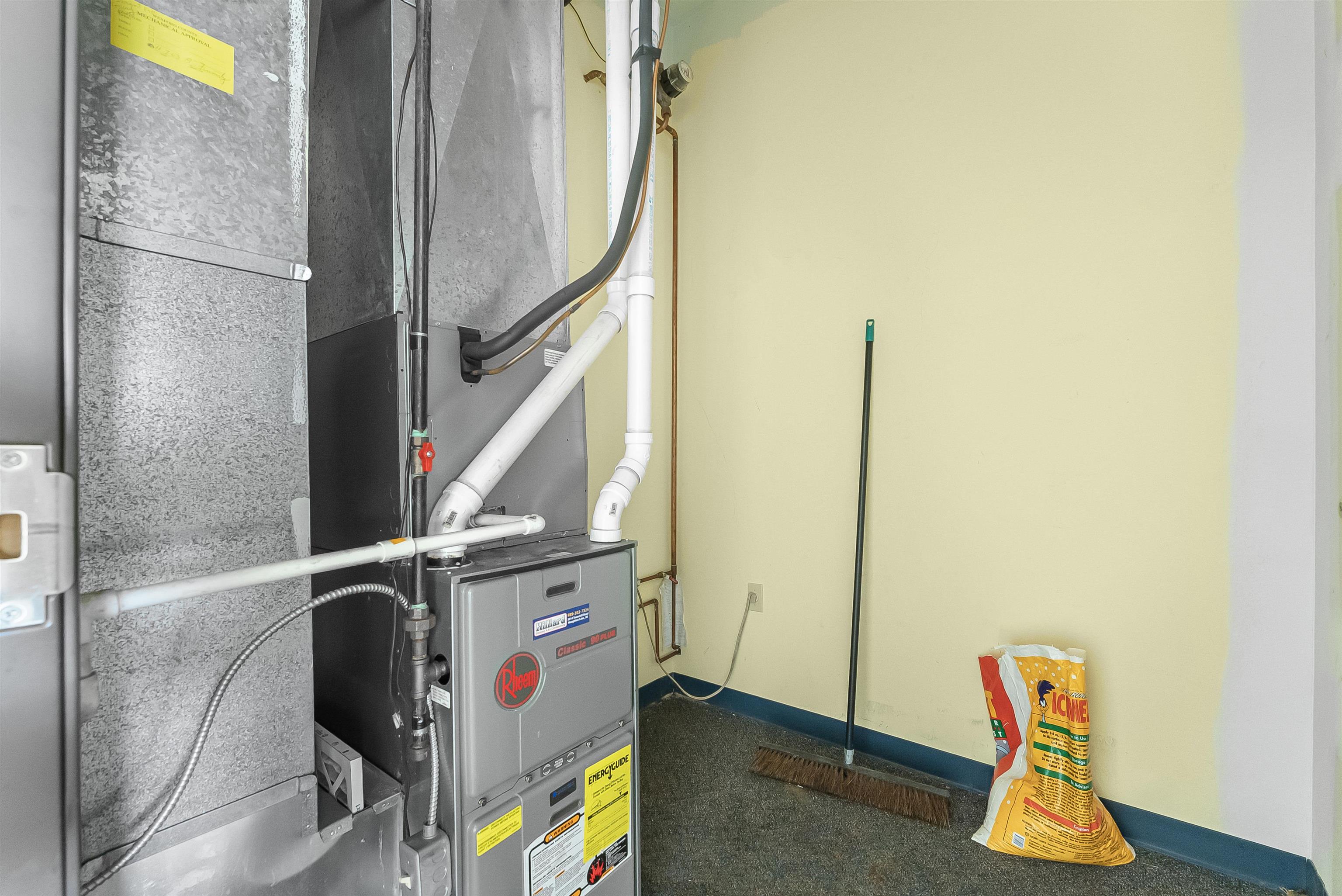 Picture 14