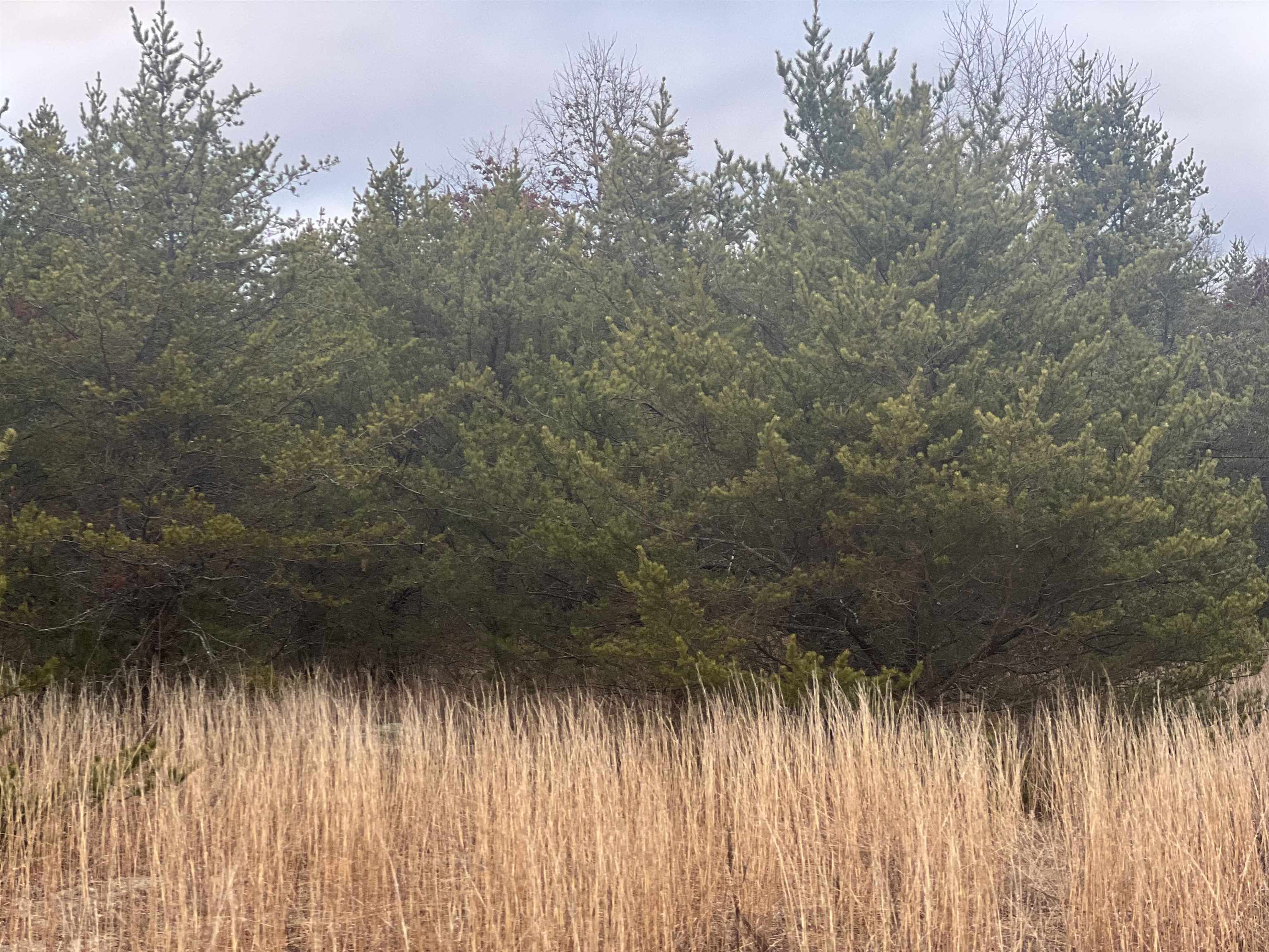 N Lakeshore Road, Port Sanilac, MI, 48469