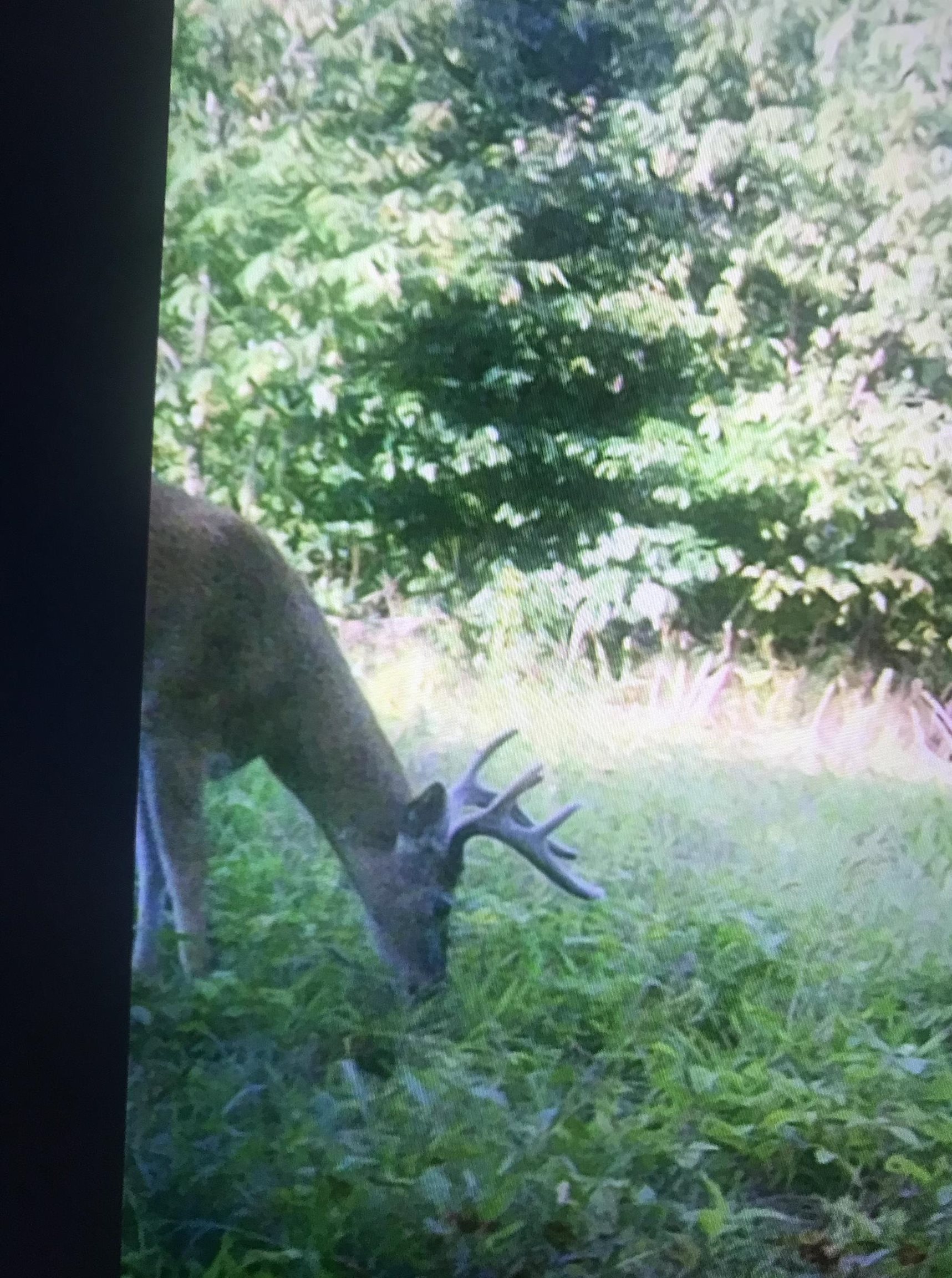 Picture 15