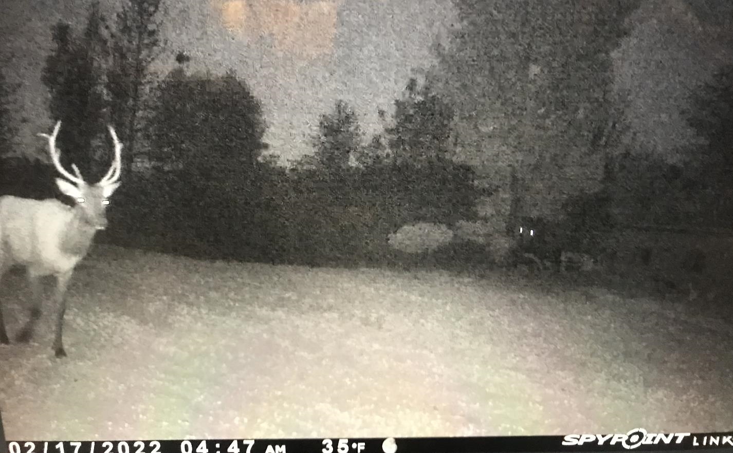 Picture 16