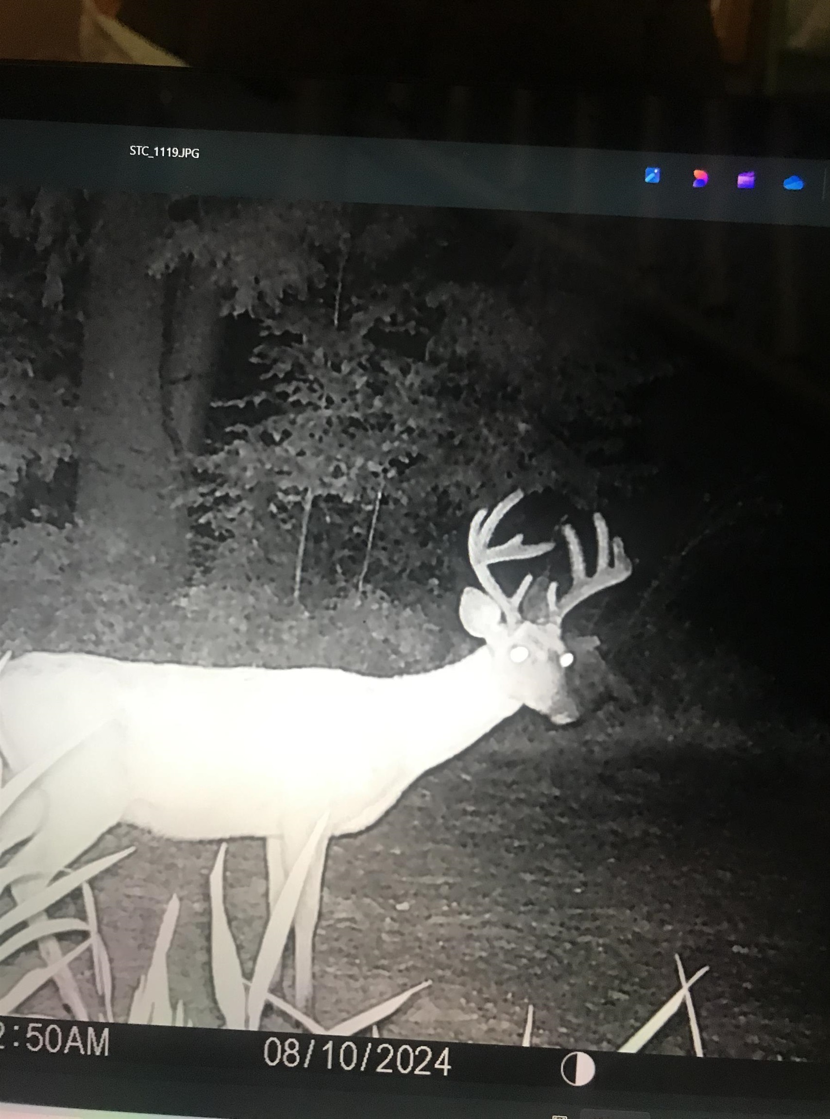 Picture 17
