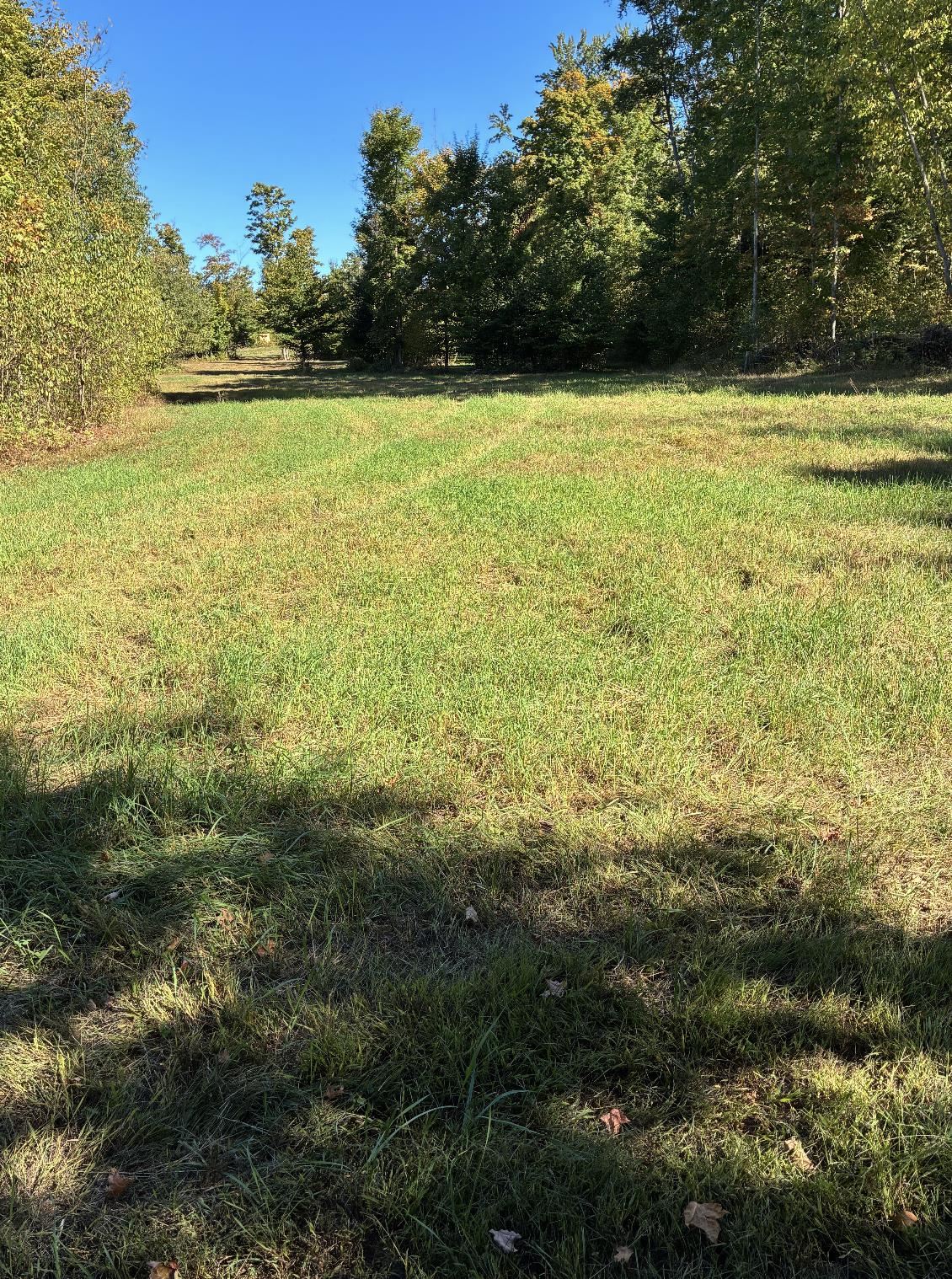 Picture 25