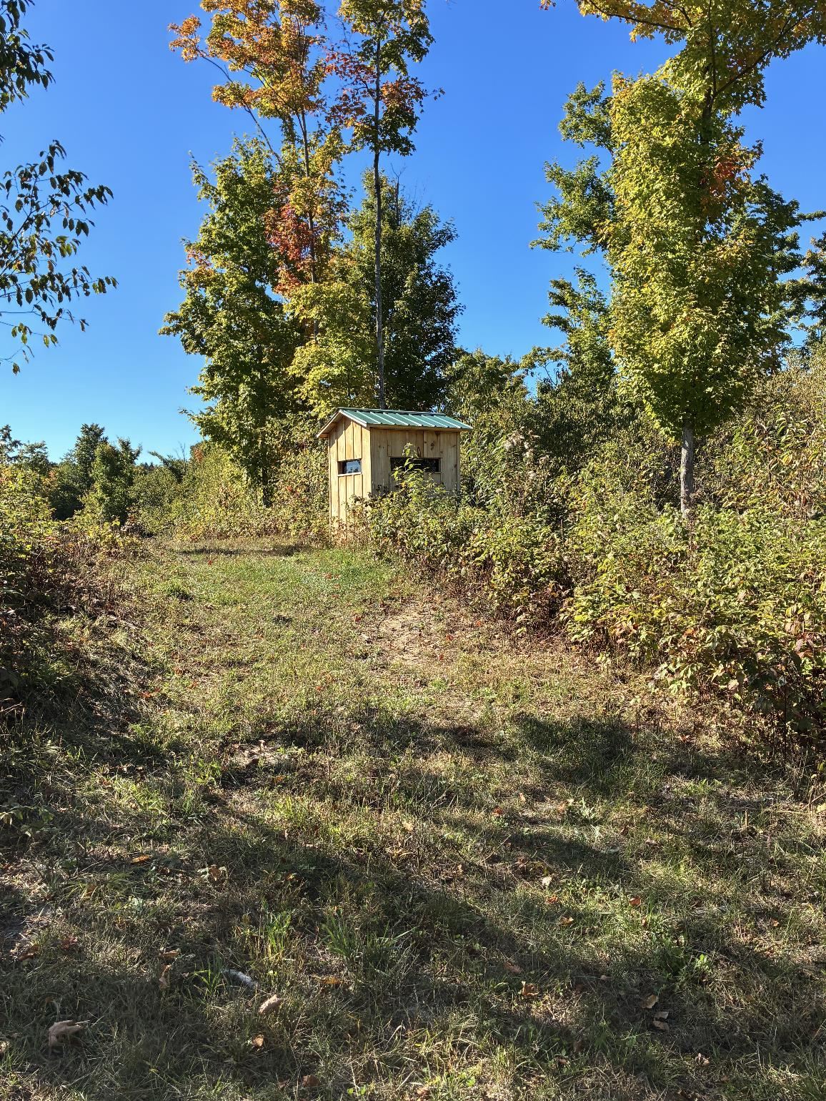 Picture 26
