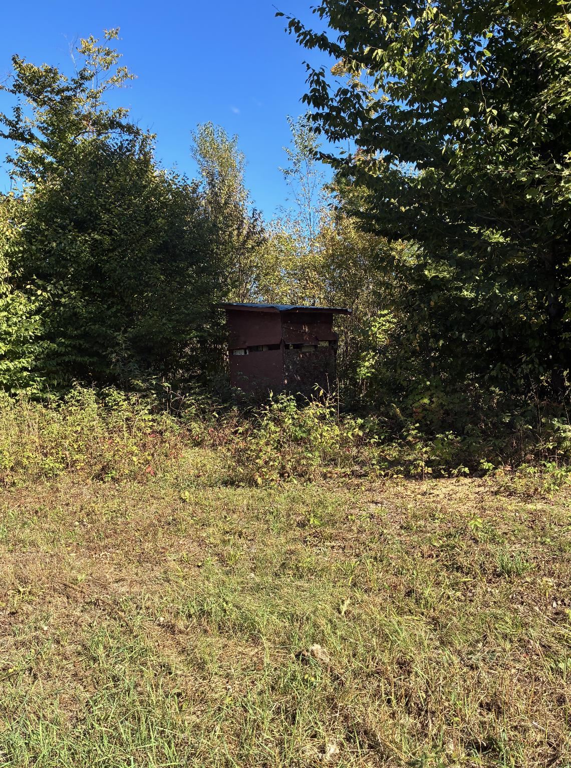 Picture 28