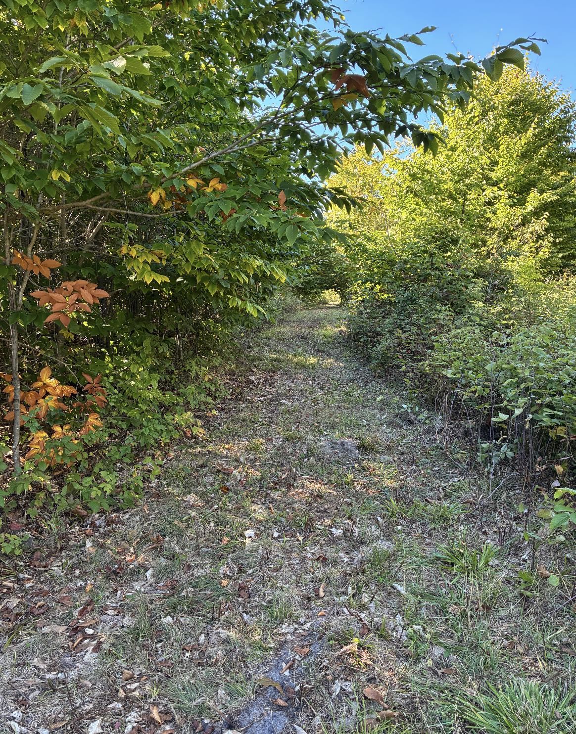 Picture 34