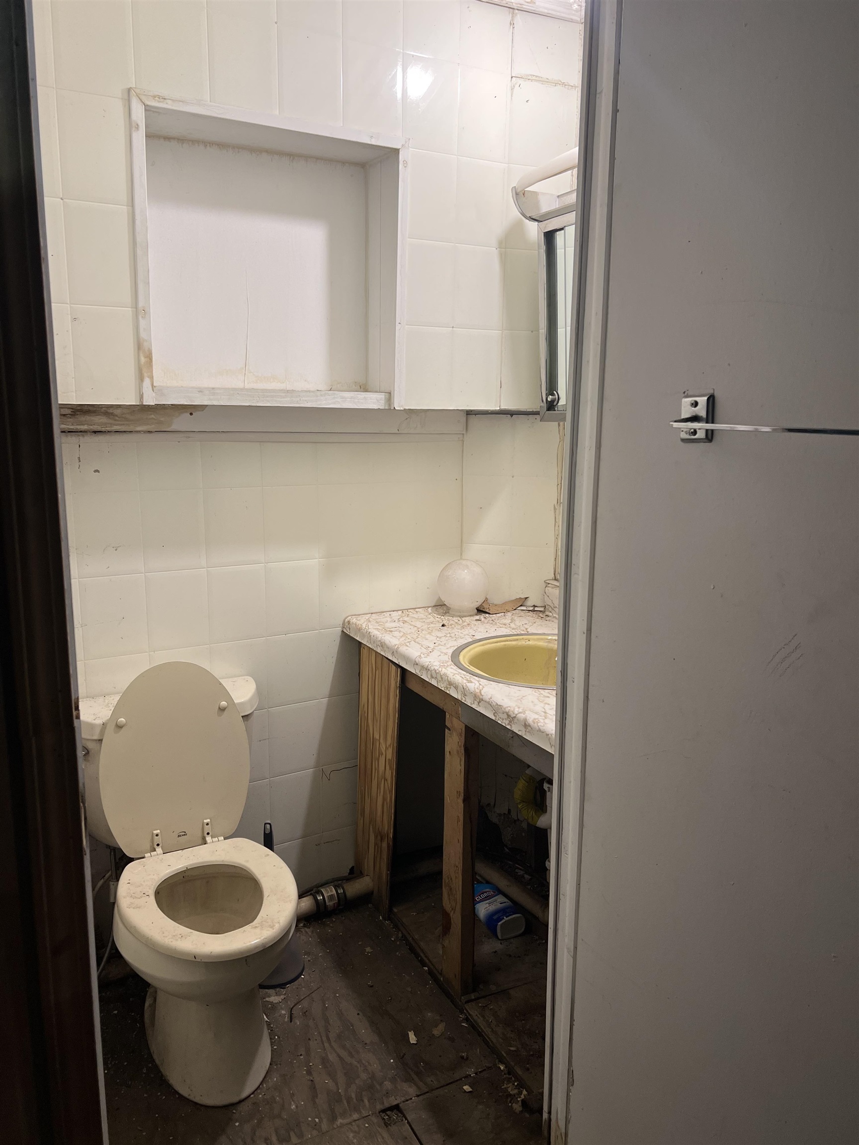Picture 15