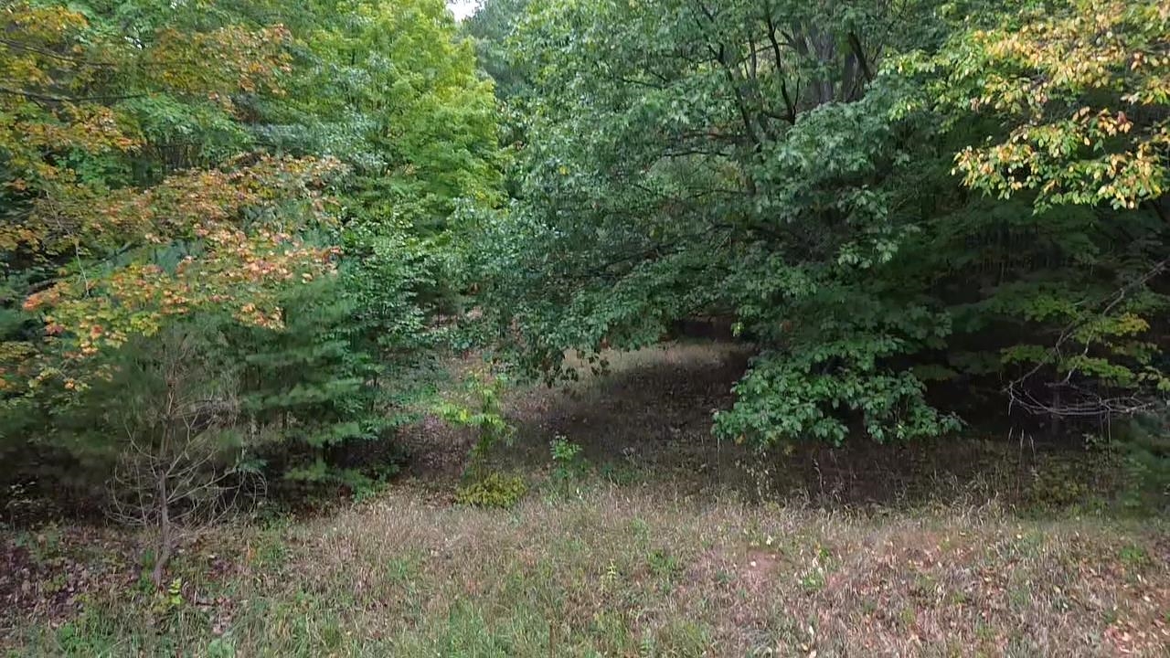 Picture 18