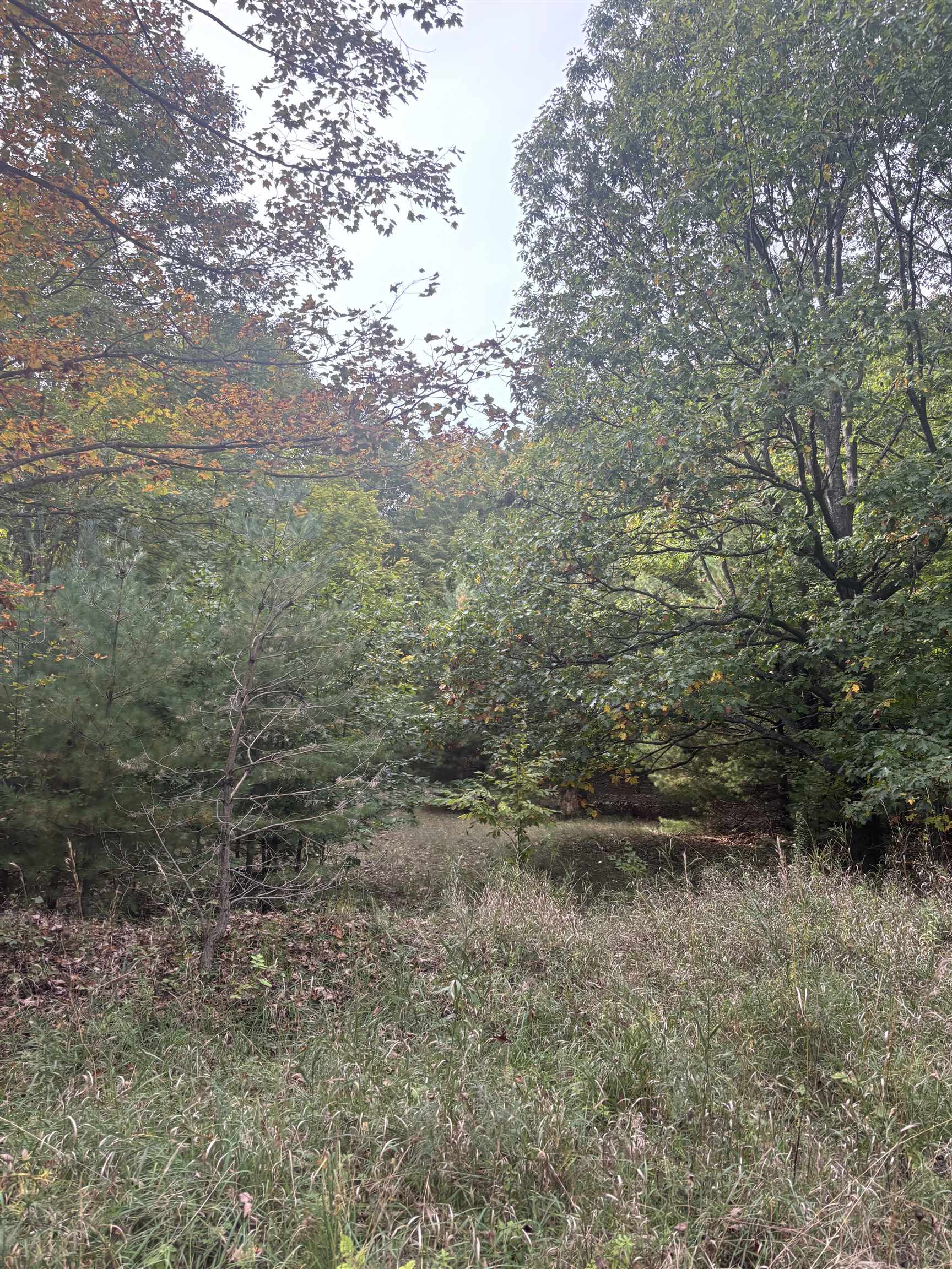 Picture 25