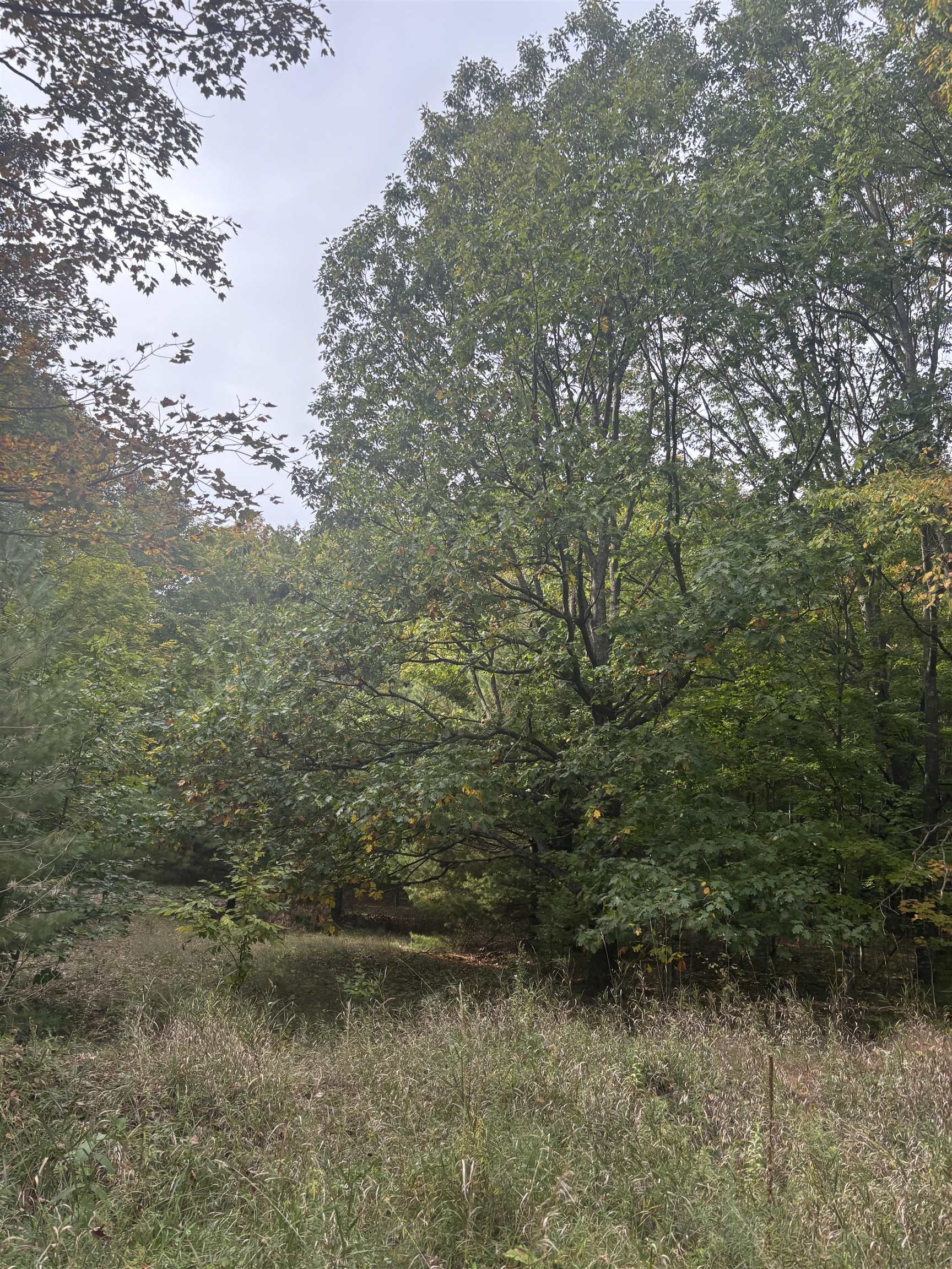 Picture 26