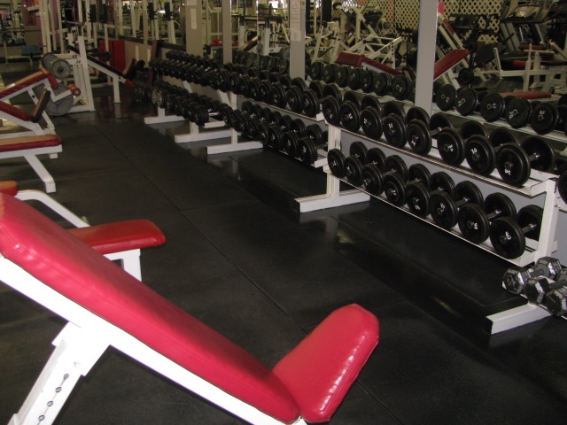 Picture 11